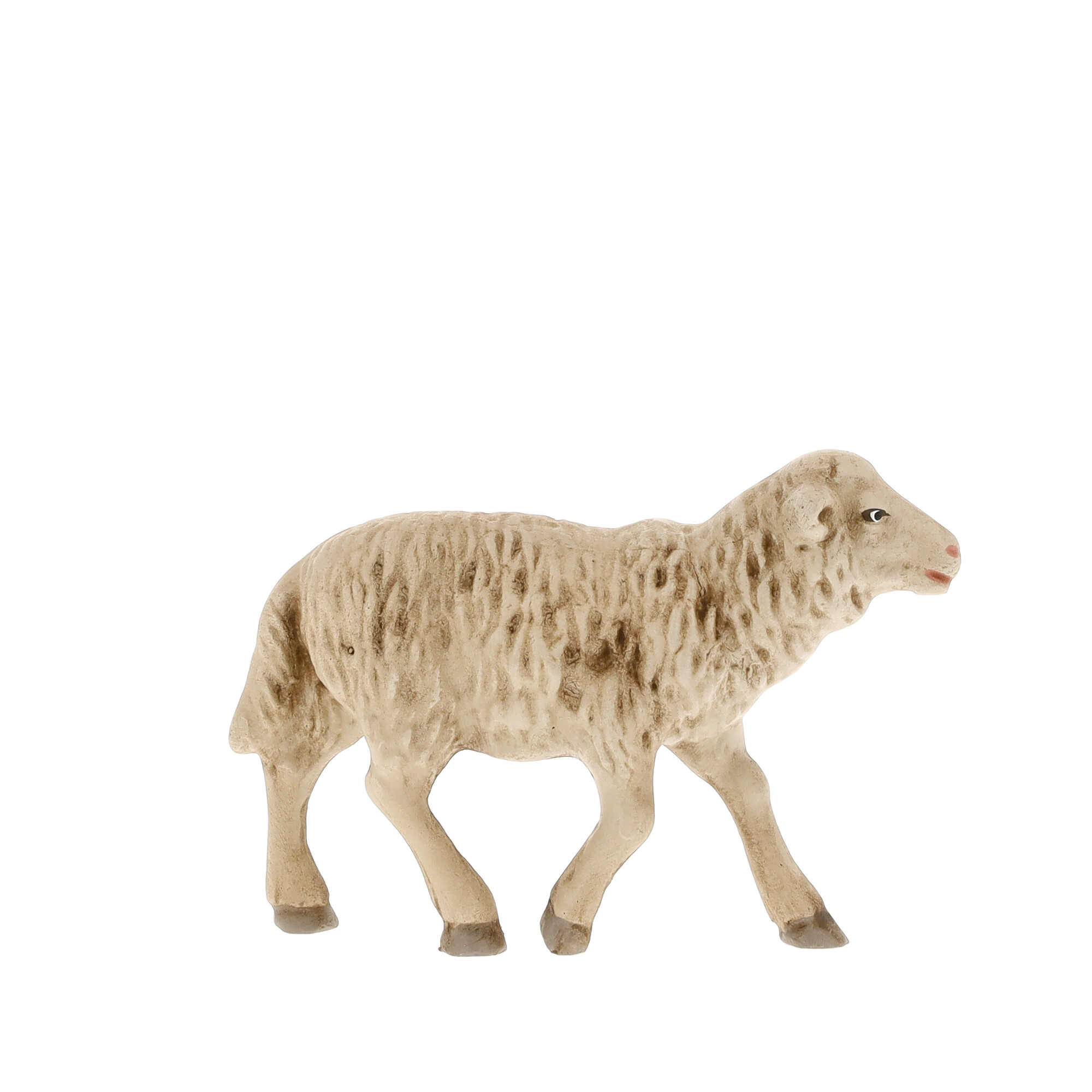 Schaf geradeaus blickend, zu 11 - 12cm Figuren - MAROLIN Krippenfigur
