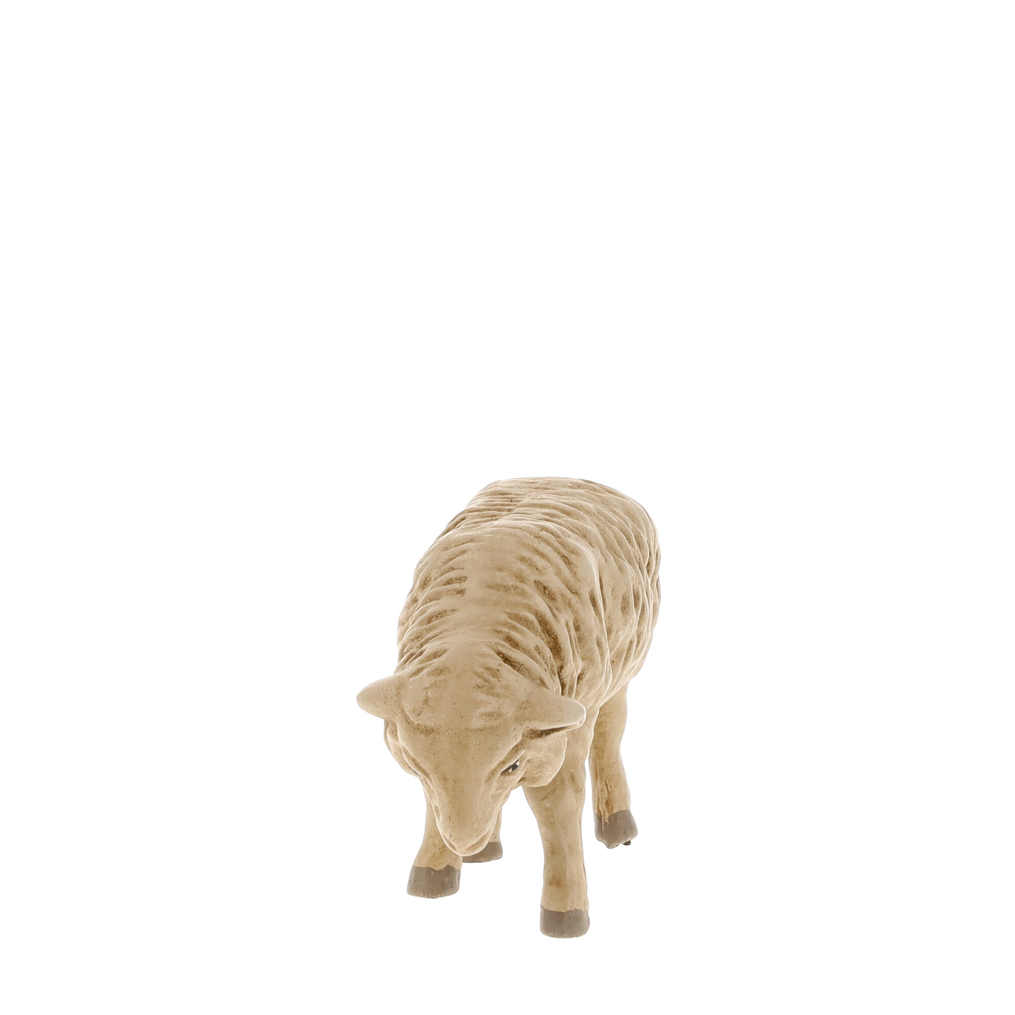 Grazing sheep - MAROLIN Nativity figure