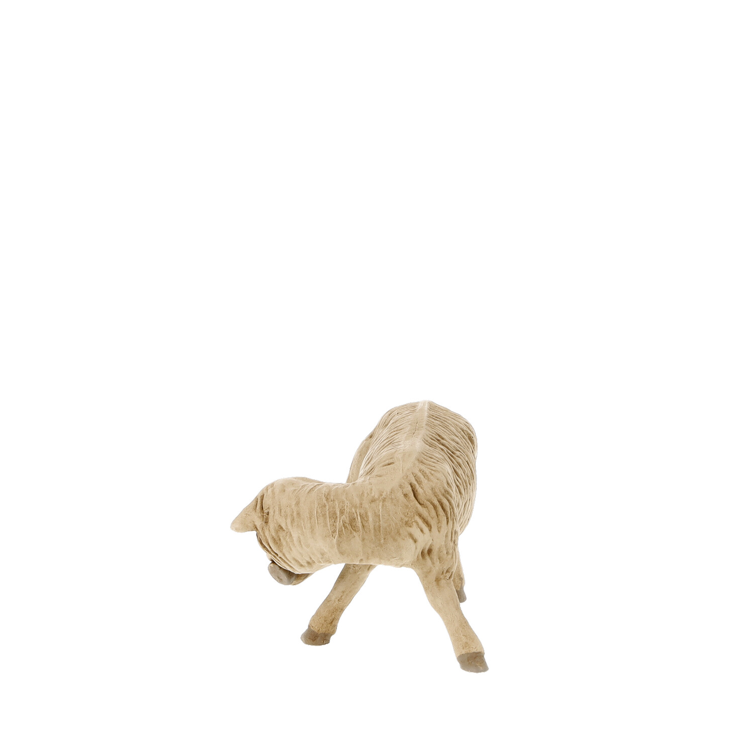 Sheep licking leg - Marolin Nativity figure - made in Germany