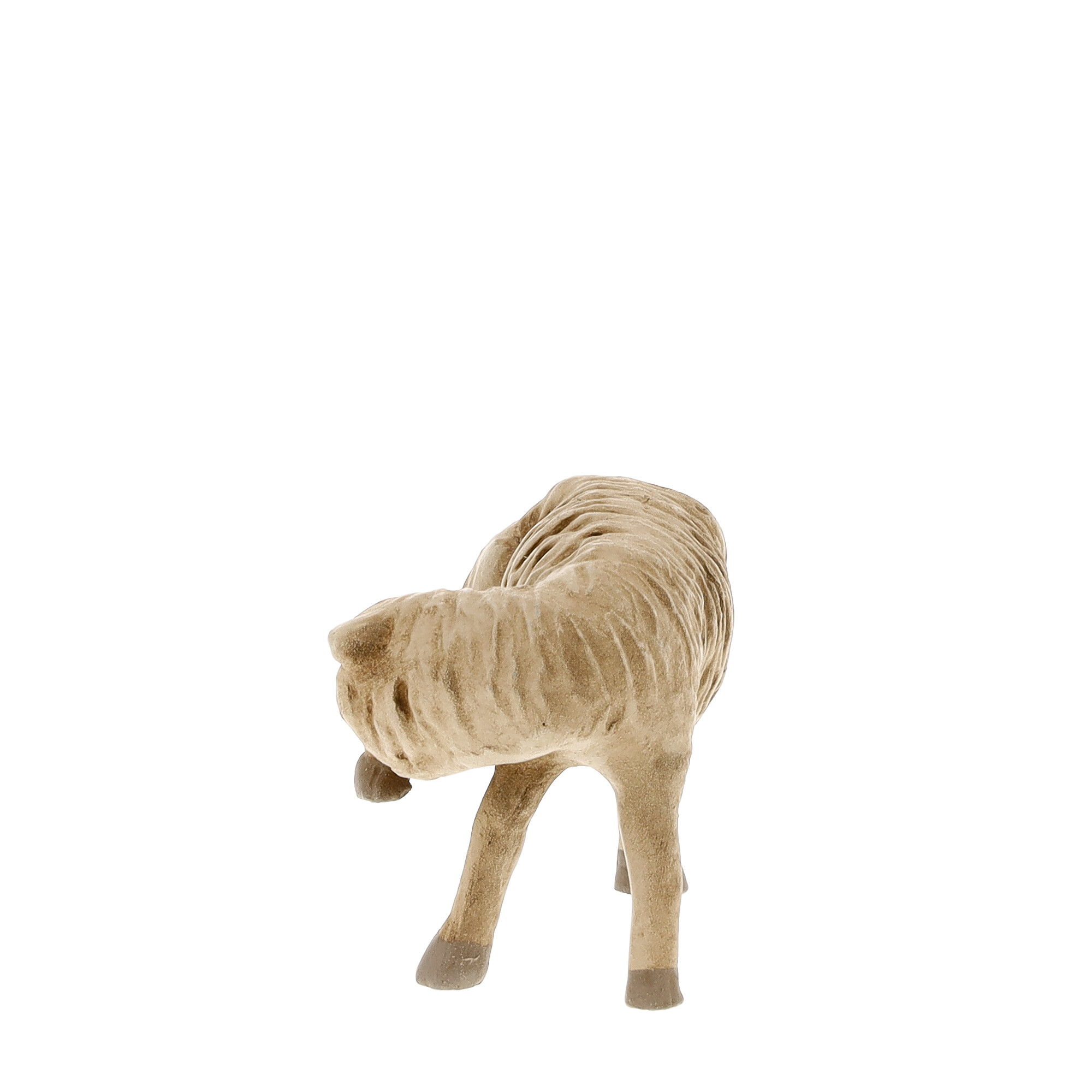 Sheep licking leg - MAROLIN Nativity figure