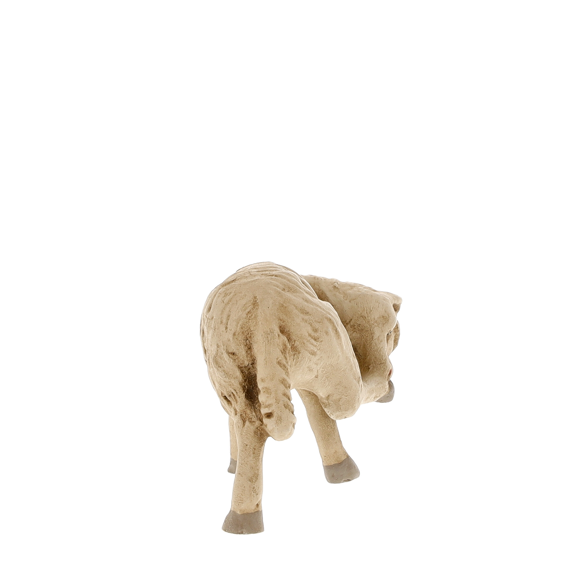 Sheep licking leg - MAROLIN Nativity figure