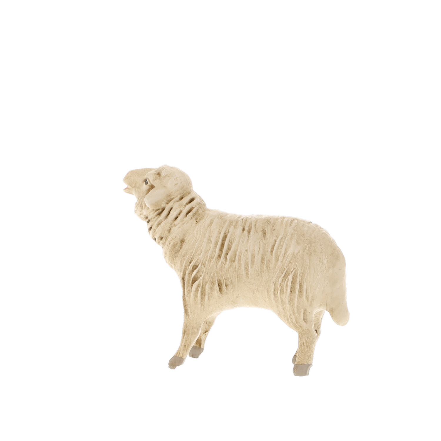 Bleeting sheep - Marolin Nativity figure - made in Germany