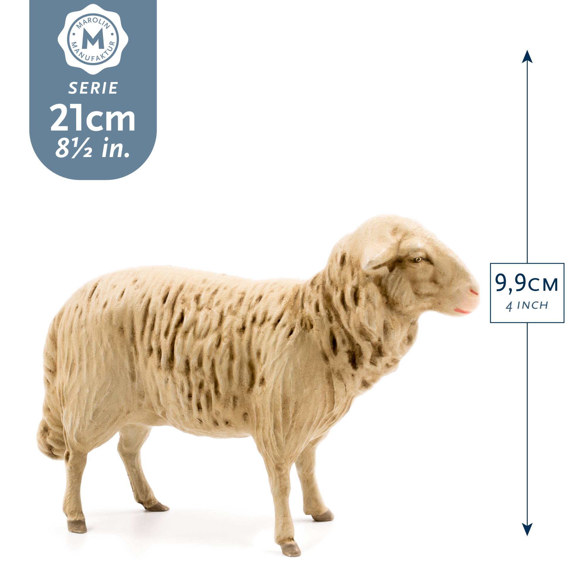 Schaf geradeaus blickend, zu 21cm Figuren